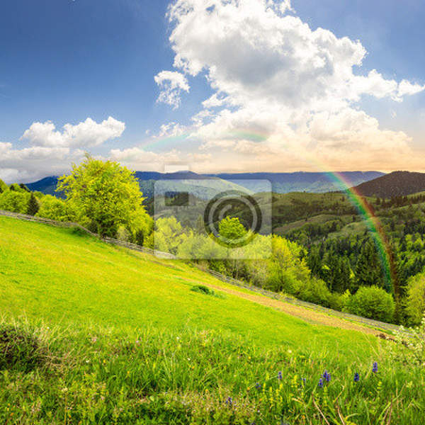  артикул 10014680