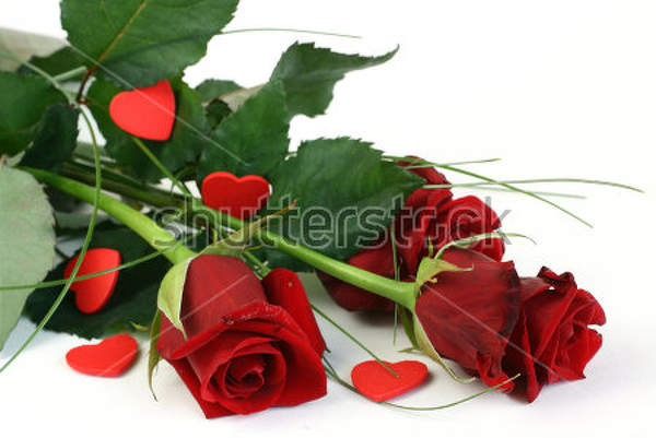  артикул 10014767