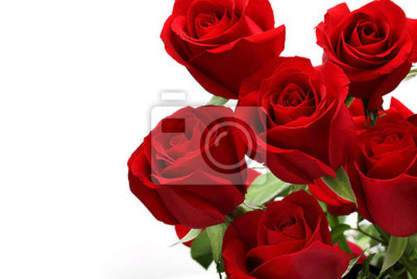  артикул 10014732