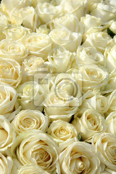  артикул 10014917