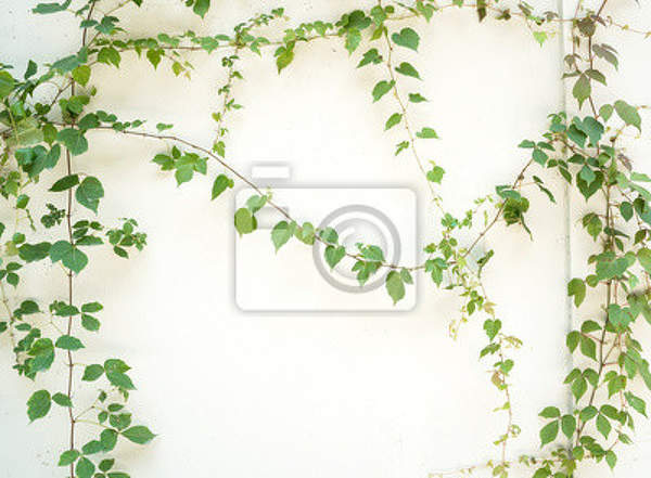  артикул 10015288