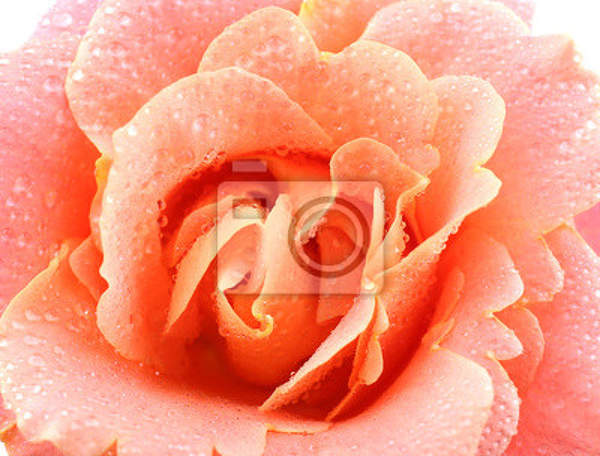  артикул 10015611