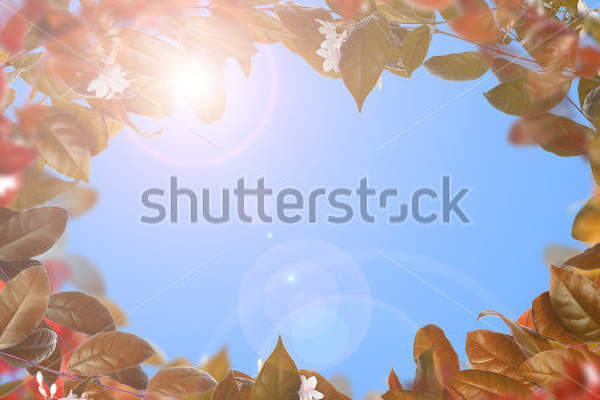  артикул 10015629