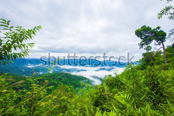  артикул 10015663
