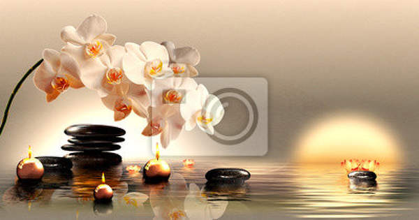  артикул 10015886