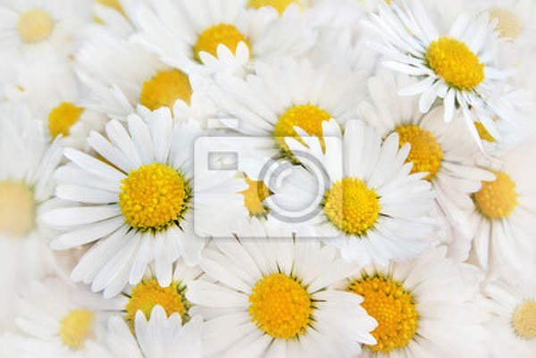  артикул 10015890