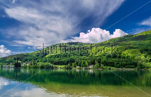  артикул 10015857