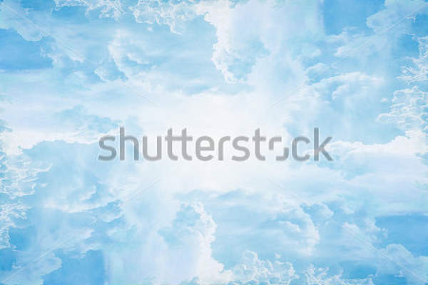  артикул 10016006