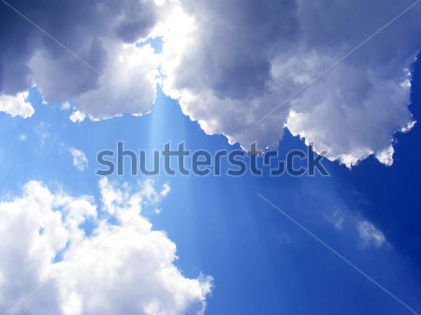  артикул 10016021
