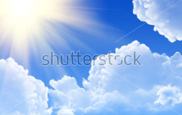  артикул 10016028