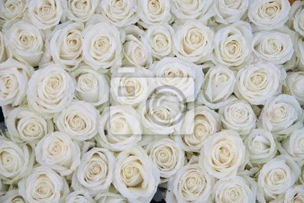  артикул 10016073