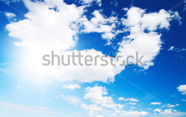  артикул 10016026