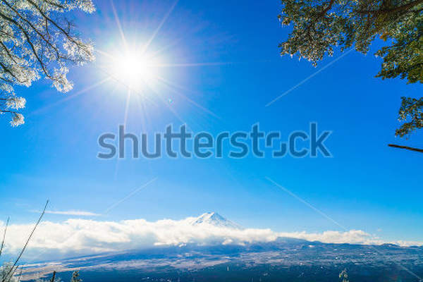 артикул 10016172