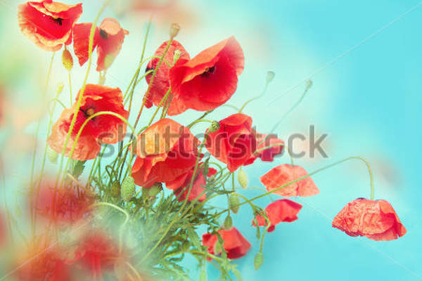  артикул 10016244