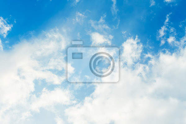  артикул 10016096
