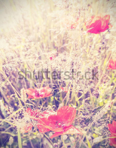  артикул 10016306