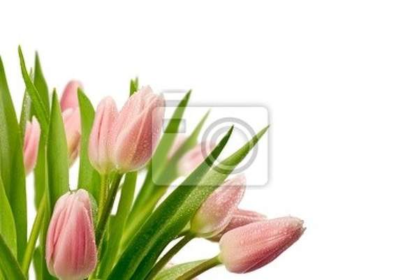  артикул 10016339