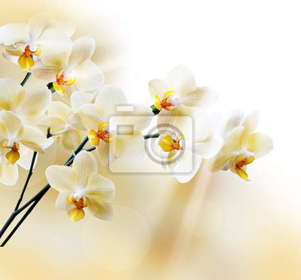  артикул 10016317