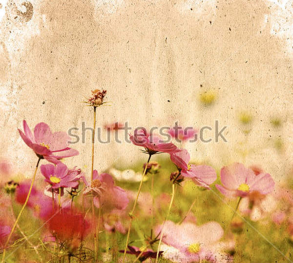  артикул 10016270