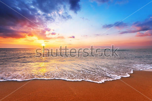  артикул 10016471