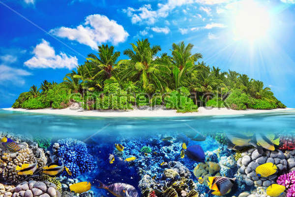 Фотообои с тропическим островом и подводным миром артикул 10016561