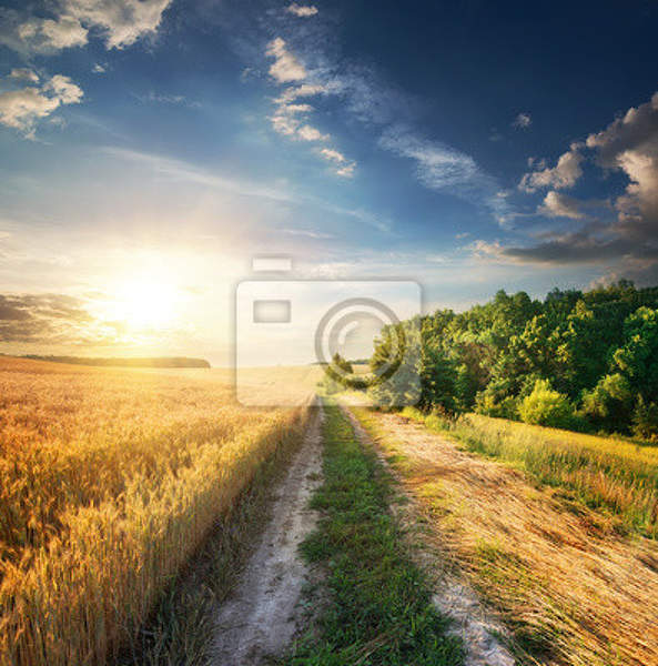  артикул 10016603