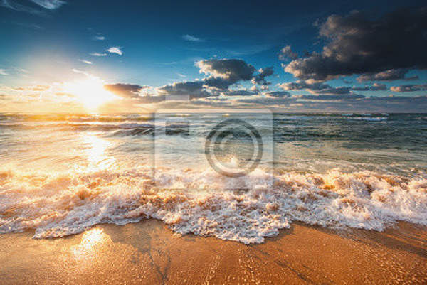  артикул 10016589