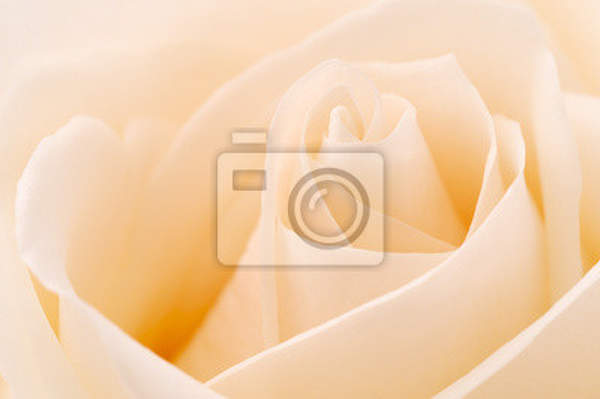  артикул 10017109