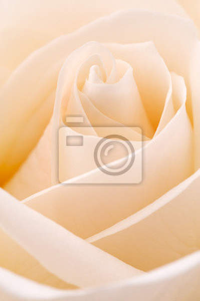  артикул 10017108