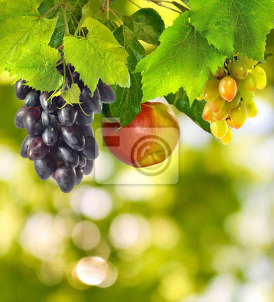  артикул 10017572