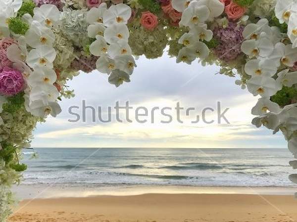  артикул 10017521