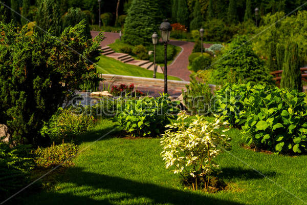  артикул 10017550