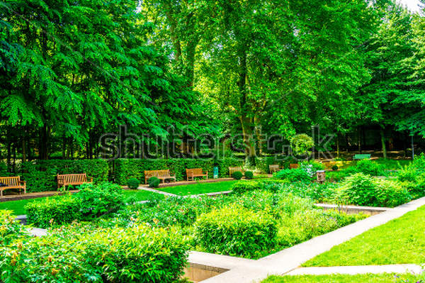  артикул 10017549