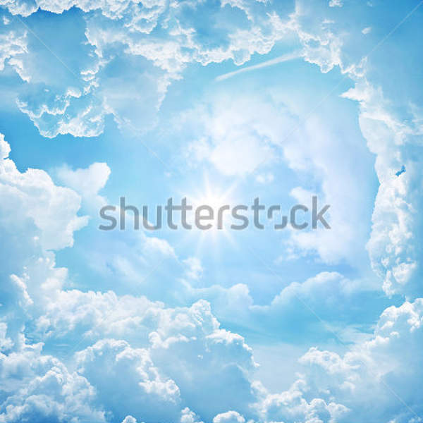  артикул 10017556
