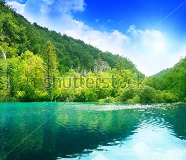  артикул 10017633