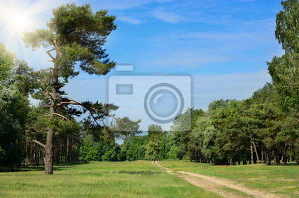 артикул 10017614