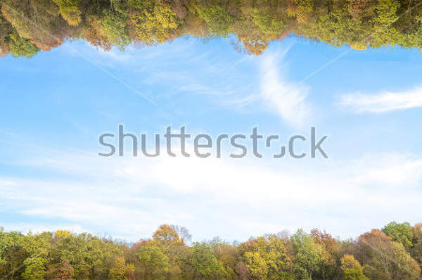  артикул 10017851
