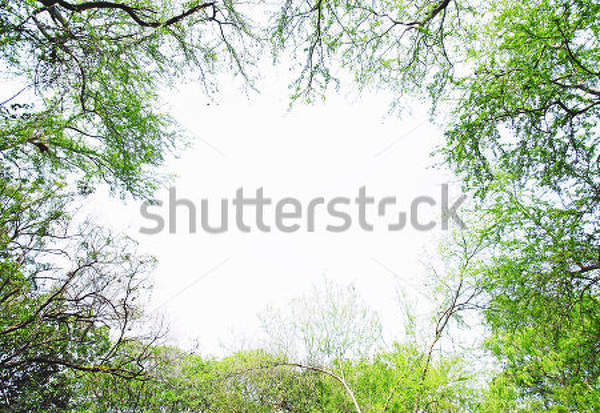  артикул 10017850