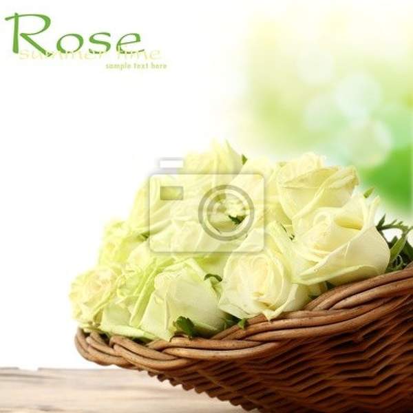  артикул 10018011