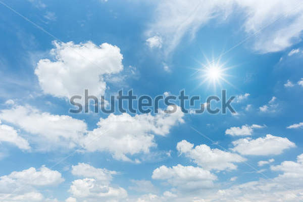  артикул 10017882