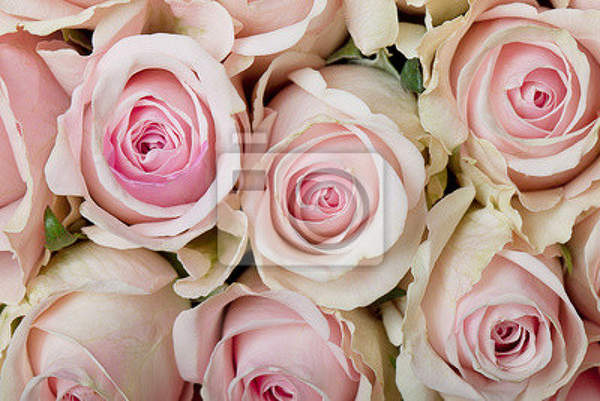  артикул 10018012