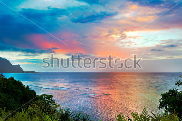  артикул 10018283