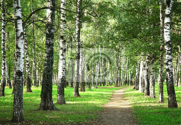  артикул 10018311