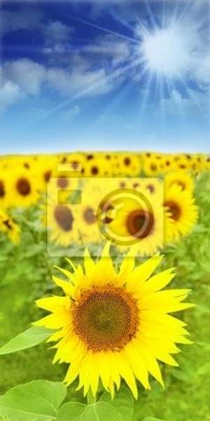  артикул 10018358
