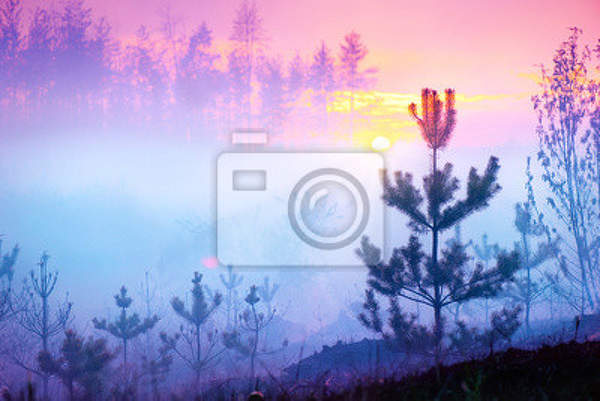  артикул 10018436