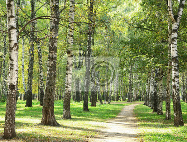  артикул 10018440