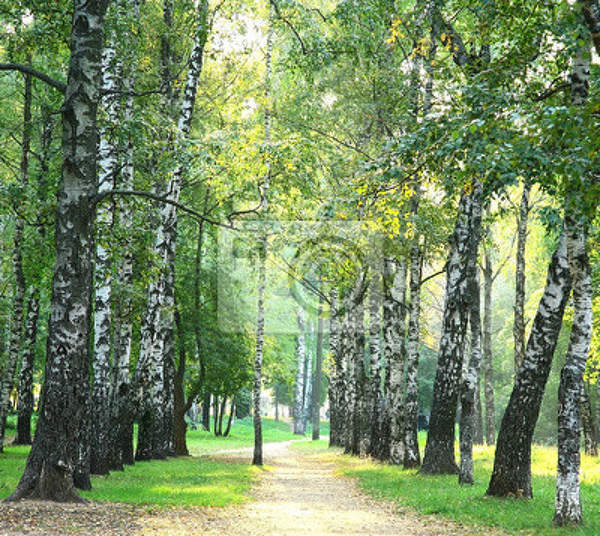  артикул 10018441
