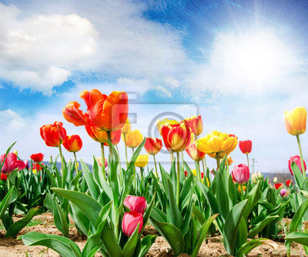  артикул 10018411