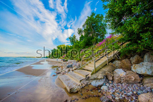  артикул 10018511