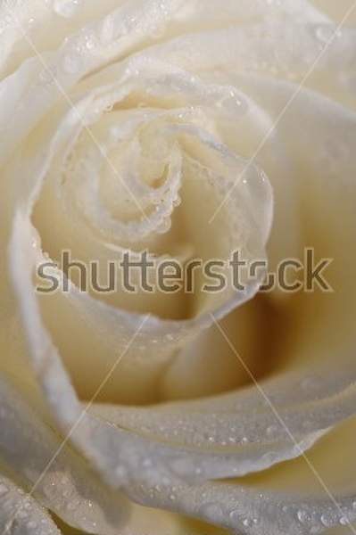  артикул 10018536